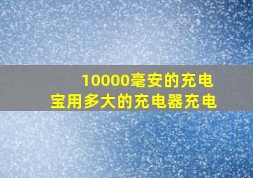 10000毫安的充电宝用多大的充电器充电