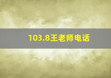 103.8王老师电话