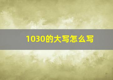 1030的大写怎么写