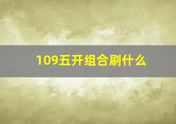 109五开组合刷什么