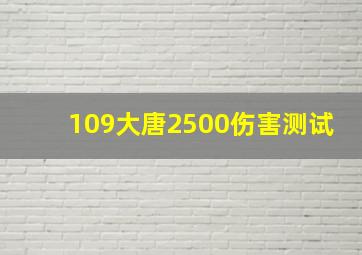 109大唐2500伤害测试