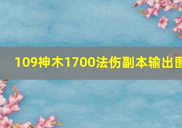 109神木1700法伤副本输出图