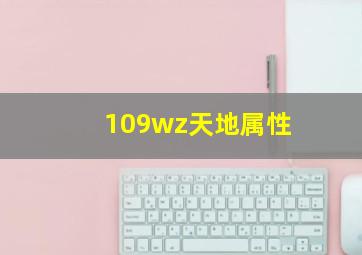 109wz天地属性