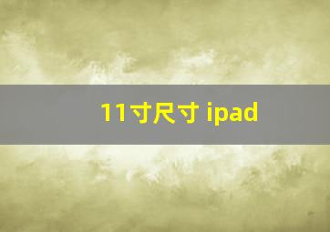 11寸尺寸 ipad