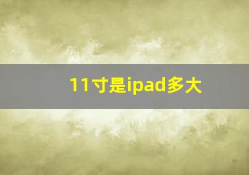 11寸是ipad多大