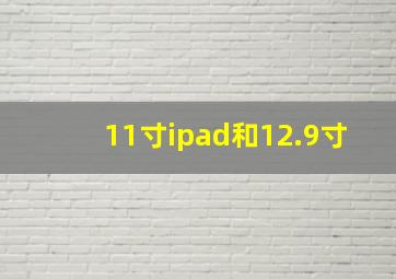 11寸ipad和12.9寸