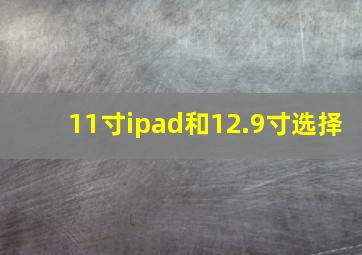 11寸ipad和12.9寸选择