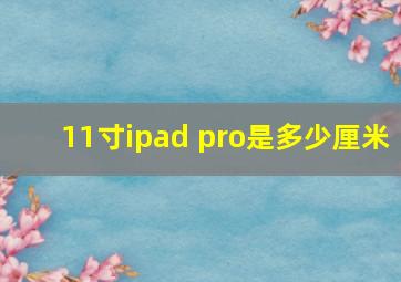 11寸ipad pro是多少厘米