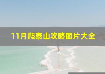 11月爬泰山攻略图片大全