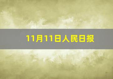 11月11日人民日报