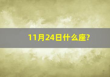 11月24日什么座?