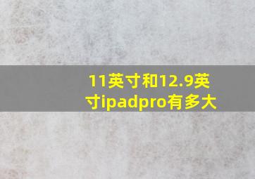 11英寸和12.9英寸ipadpro有多大