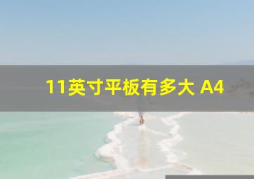 11英寸平板有多大 A4