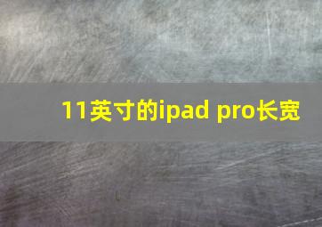 11英寸的ipad pro长宽