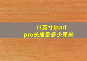 11英寸ipad pro长度是多少厘米