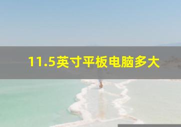 11.5英寸平板电脑多大