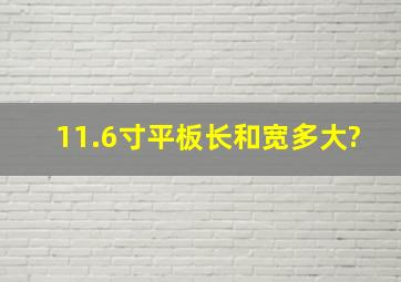 11.6寸平板长和宽多大?