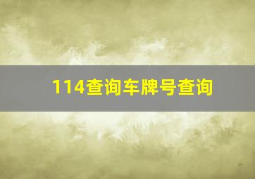 114查询车牌号查询