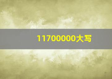 11700000大写