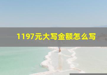 1197元大写金额怎么写