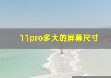 11pro多大的屏幕尺寸