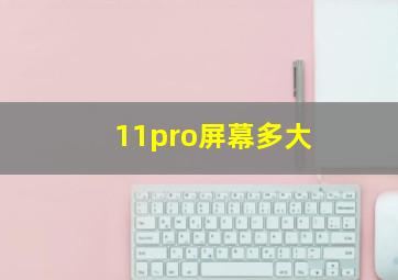 11pro屏幕多大