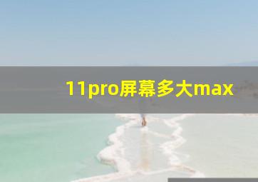 11pro屏幕多大max