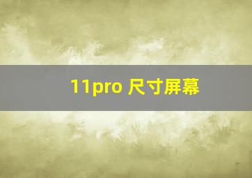 11pro 尺寸屏幕