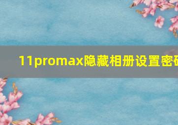 11promax隐藏相册设置密码