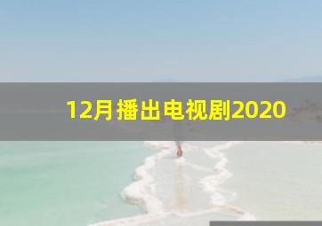 12月播出电视剧2020