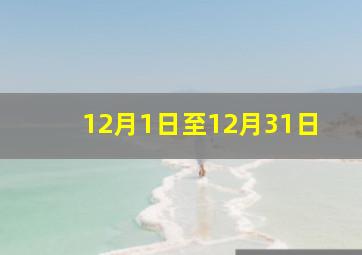 12月1日至12月31日