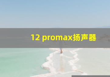 12 promax扬声器