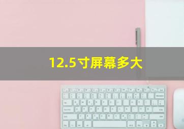 12.5寸屏幕多大