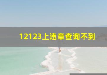 12123上违章查询不到