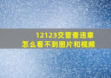 12123交管查违章怎么看不到图片和视频