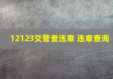 12123交管查违章 违章查询