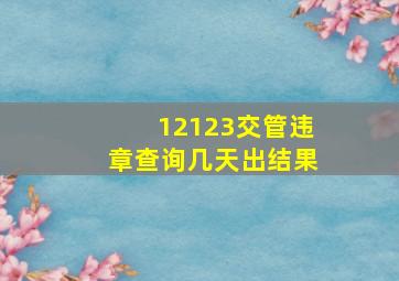 12123交管违章查询几天出结果