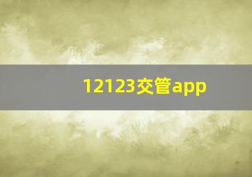 12123交管app