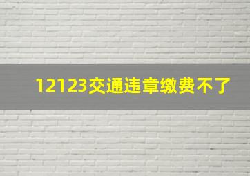 12123交通违章缴费不了