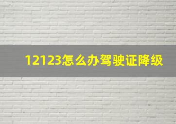 12123怎么办驾驶证降级