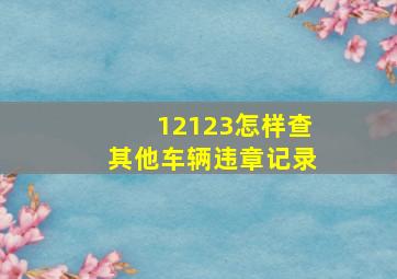 12123怎样查其他车辆违章记录