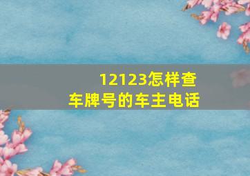 12123怎样查车牌号的车主电话