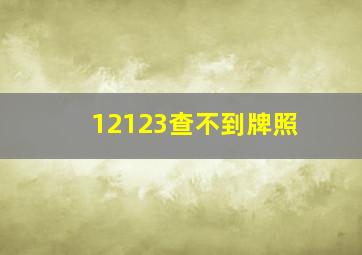 12123查不到牌照