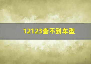 12123查不到车型