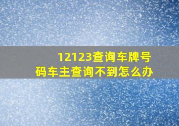 12123查询车牌号码车主查询不到怎么办