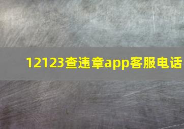 12123查违章app客服电话