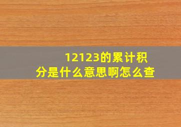 12123的累计积分是什么意思啊怎么查