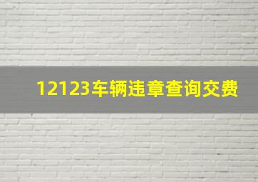 12123车辆违章查询交费