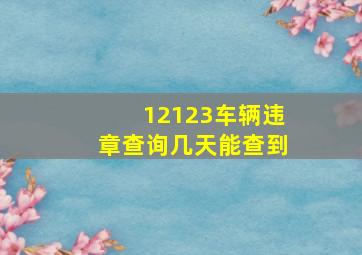 12123车辆违章查询几天能查到