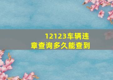 12123车辆违章查询多久能查到